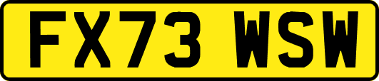 FX73WSW