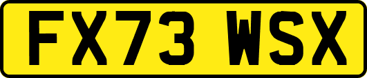 FX73WSX