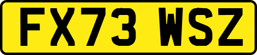 FX73WSZ