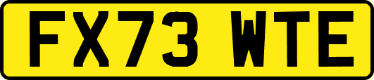 FX73WTE