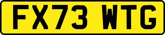 FX73WTG