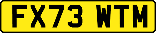 FX73WTM