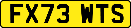 FX73WTS