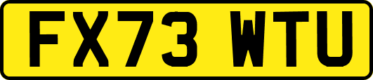 FX73WTU