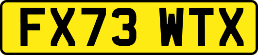 FX73WTX
