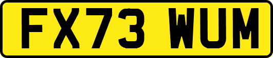FX73WUM