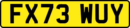 FX73WUY