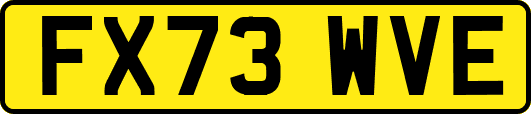 FX73WVE
