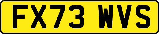 FX73WVS