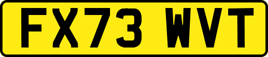 FX73WVT