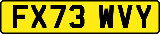 FX73WVY