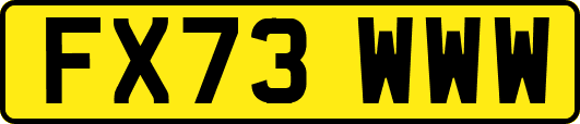 FX73WWW