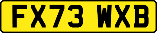 FX73WXB