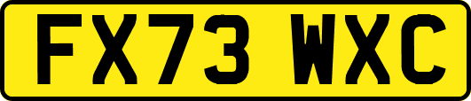 FX73WXC