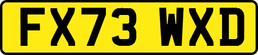 FX73WXD