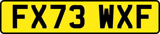 FX73WXF