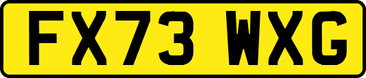 FX73WXG