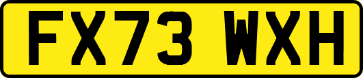 FX73WXH