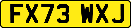 FX73WXJ