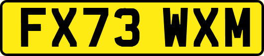 FX73WXM