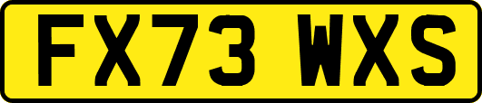 FX73WXS