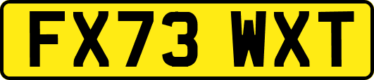FX73WXT
