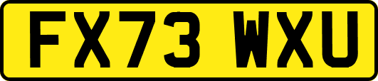 FX73WXU