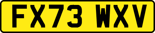 FX73WXV