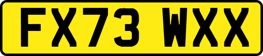 FX73WXX