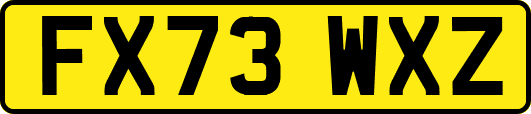 FX73WXZ