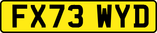 FX73WYD