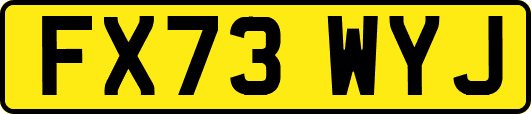 FX73WYJ
