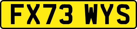 FX73WYS