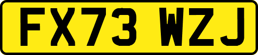 FX73WZJ