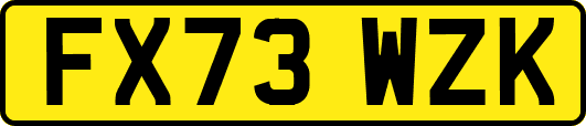 FX73WZK