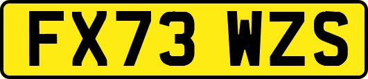 FX73WZS