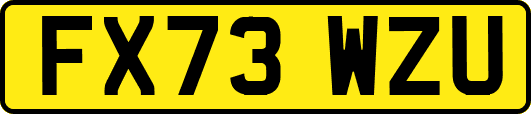 FX73WZU
