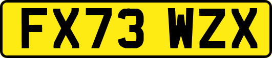 FX73WZX
