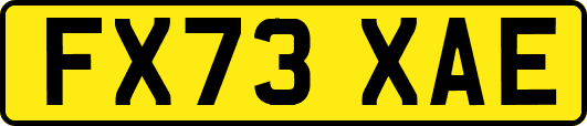 FX73XAE