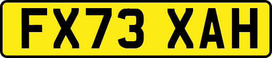 FX73XAH