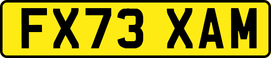 FX73XAM