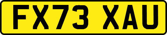 FX73XAU