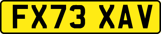 FX73XAV