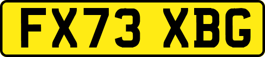 FX73XBG