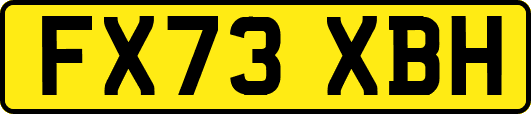 FX73XBH
