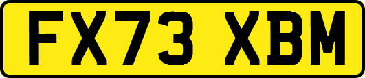FX73XBM