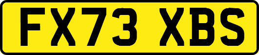 FX73XBS