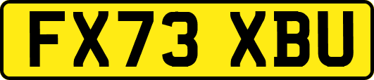 FX73XBU
