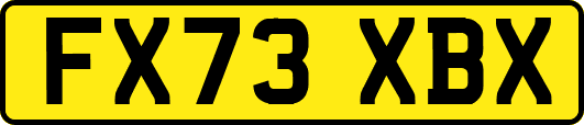 FX73XBX