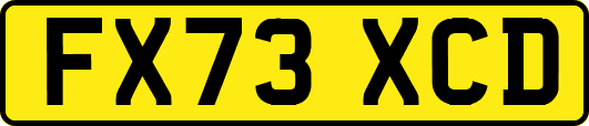 FX73XCD